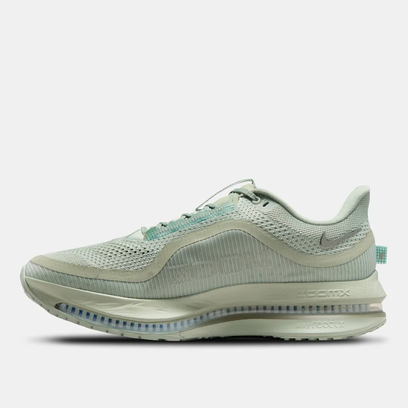 Nike Men's Pegasus Premium Road Running Shoes